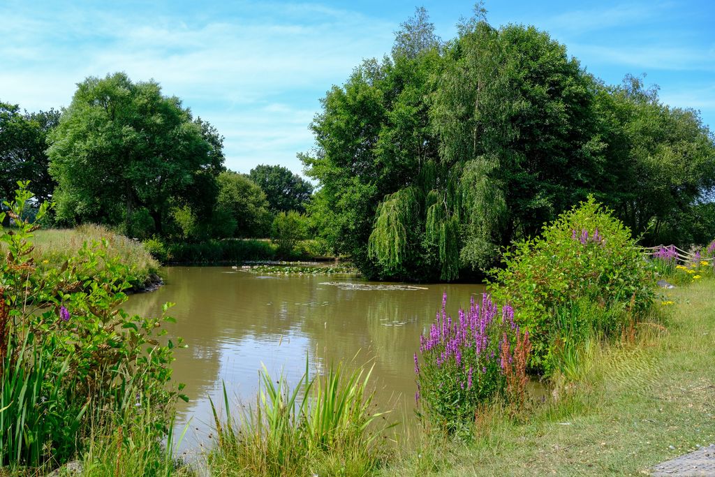 Runshaw Lane Euxton